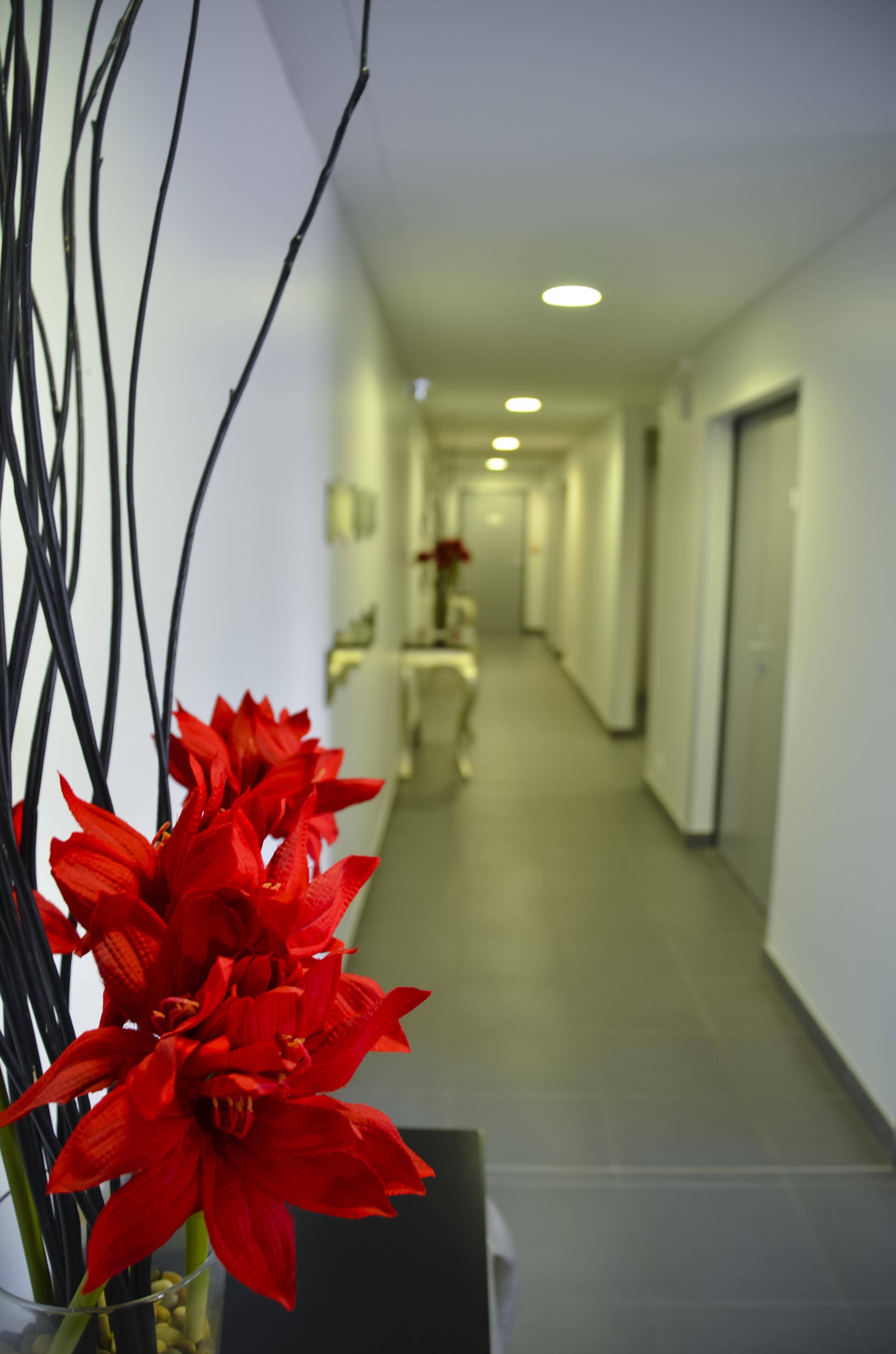 Adonis La Baule Aparthotel Exterior foto